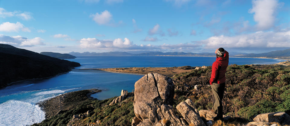 Rakiura track Stewart Island New Zealand