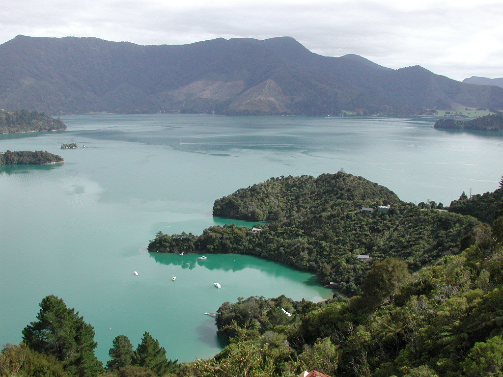 Te Mahia Bay and Kenepuru Sound Queen Charlotte Track New Zealand