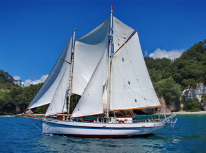 Windborne Sailing trip Coromandel