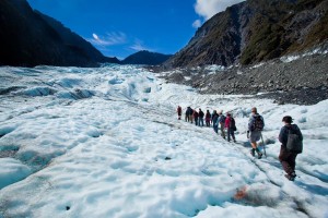 Fox Glacier walk