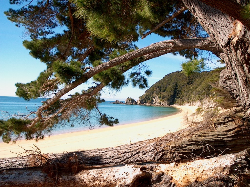 Abel Tasman Coast Track New Zealand