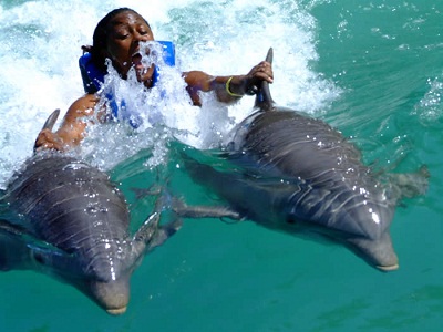 swimming with dolphins New Zealand