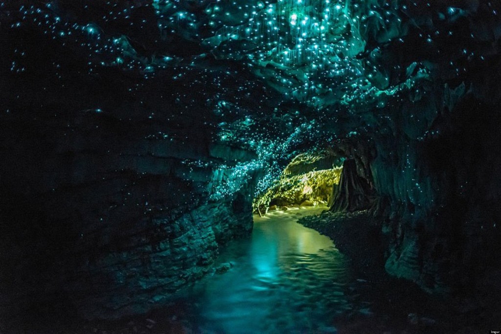 Glow-Worm Cave In Waitomo New Zealand